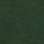 alav.6405 lichen green