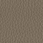 WLAL.27288 taupe