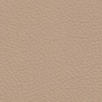 uni.sandbeige-java