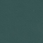 uni.nephritegreen